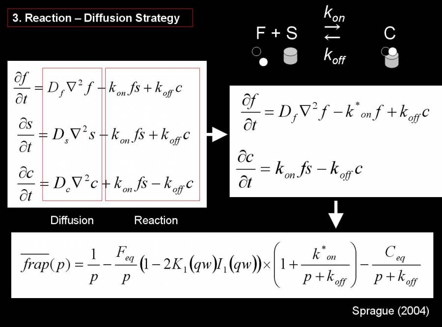 reactiondiffusion.jpg