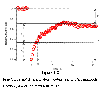 Text Box:  
Figure 1-2 
Frap Curve and its parameters: Mobile fraction (a), immobile fraction (b) and half maximum tau (d)

