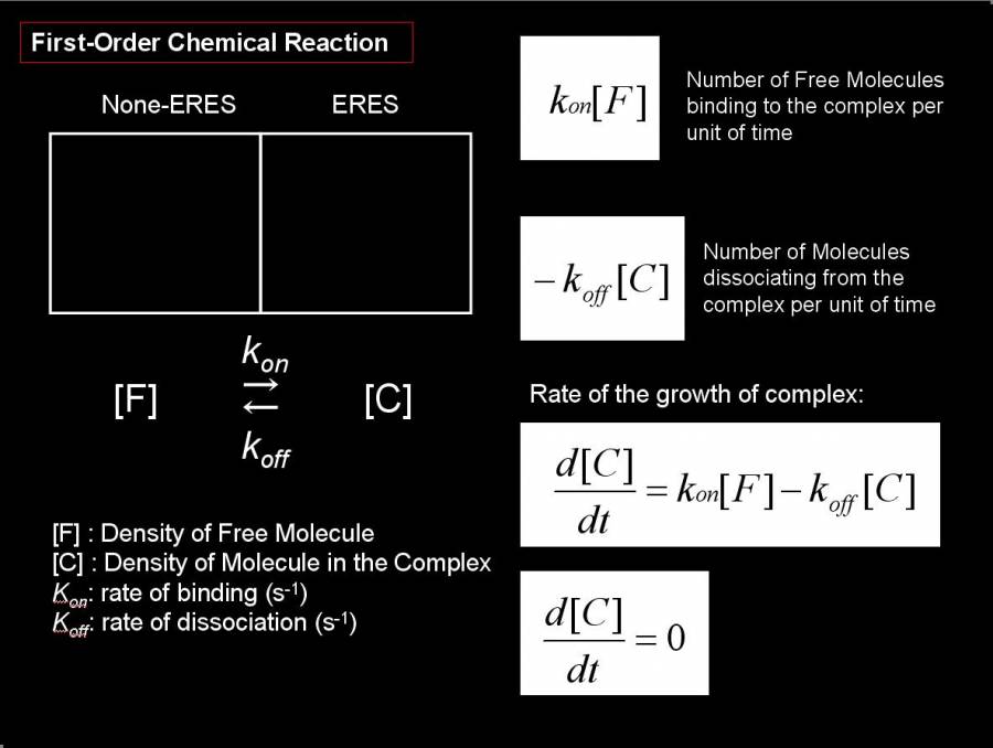 firstorderchemicalreaction.jpg